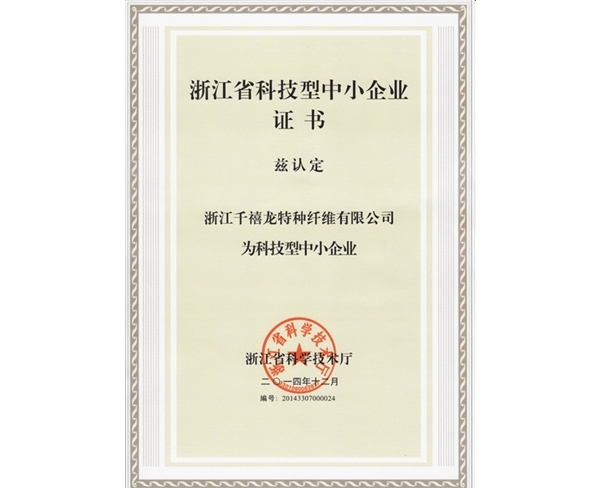 千禧龙浙江省科技型中小企业证书