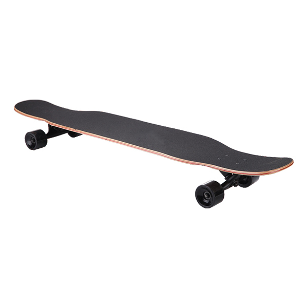 Skate Board 4209