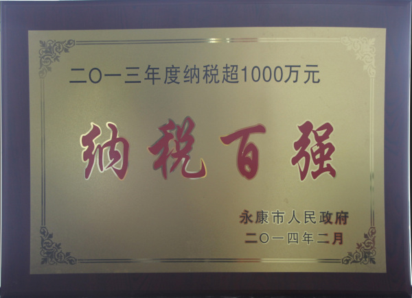 2013年度纳税百强