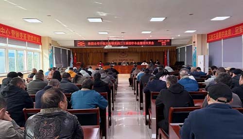 集团召开干部大会暨党的二十届四中全会精神宣讲会 部署干部调整与 “三定”方案推进工作