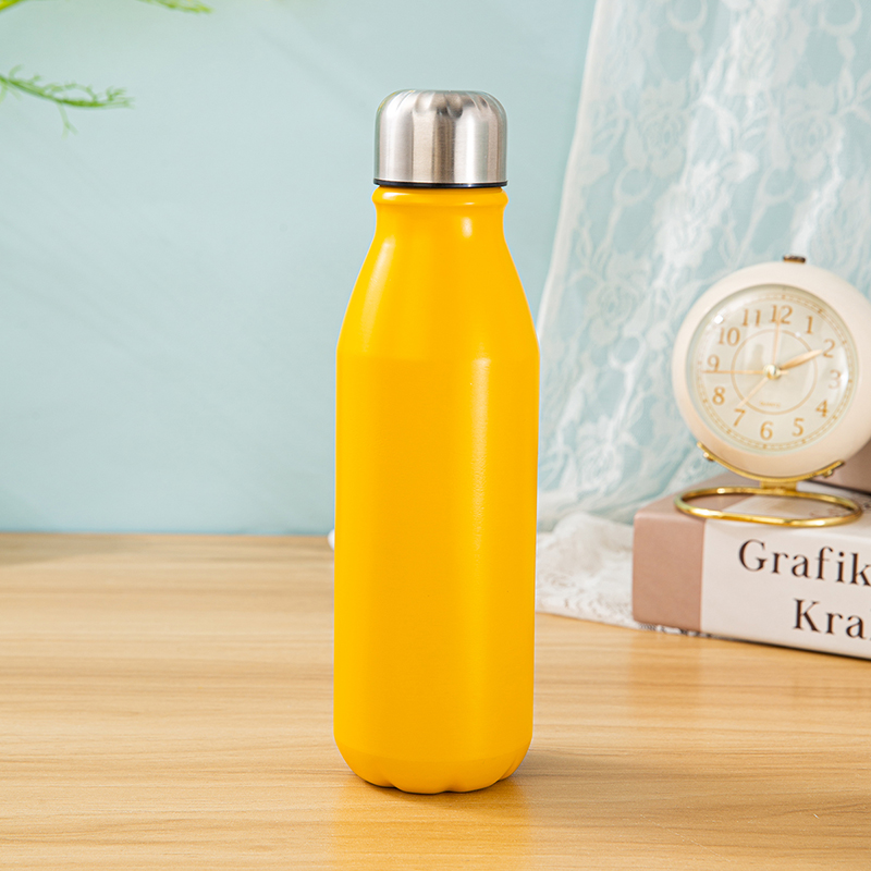 Aluminum Sports Water Bottle