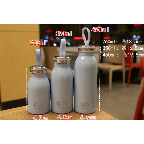 Stainless Steel Bottle RS-450D