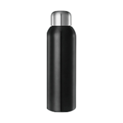 Stainless Steel Bottle RS-257