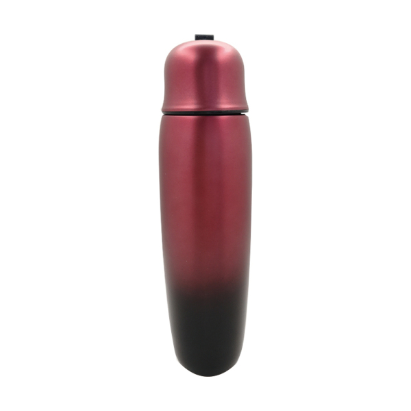 Stainless Steel Bottle RS-312