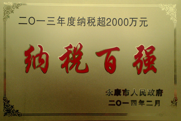 2013 Top 100 Taxpayers