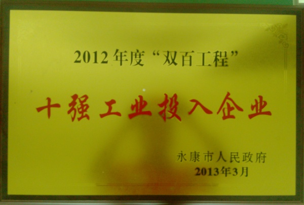 十强工业投入企业