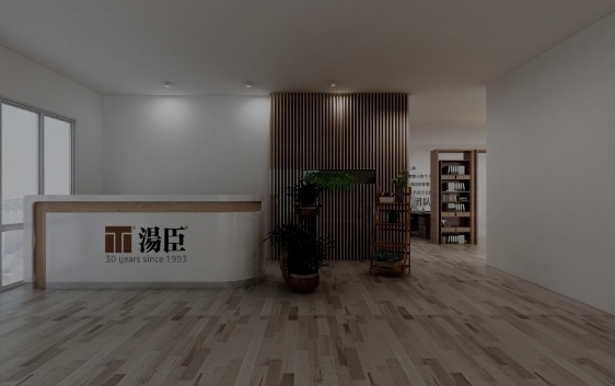 公司视频
