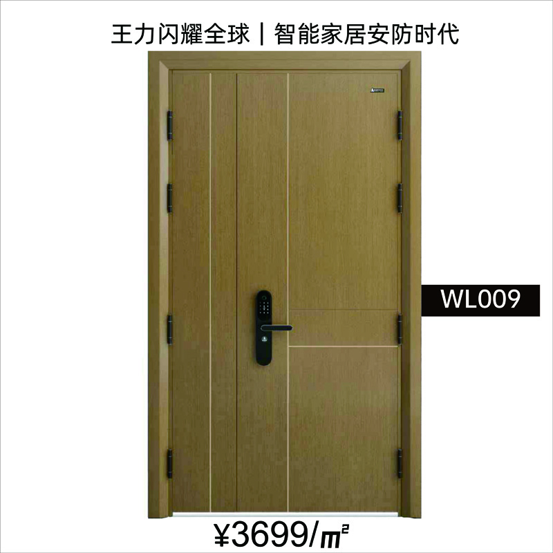 王力安全门 WL009