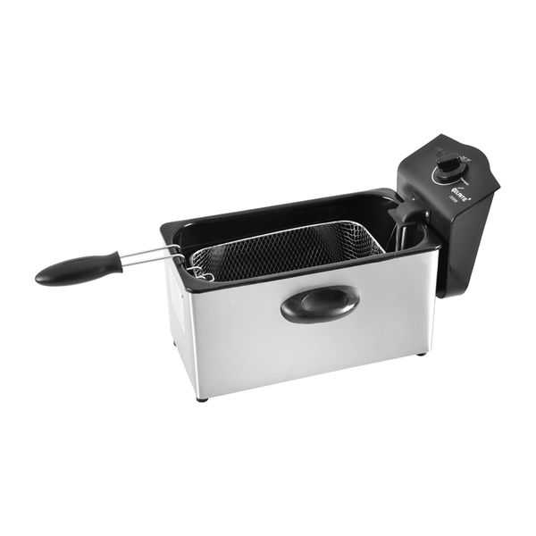 BBQ & DEEP FRYER WY-12