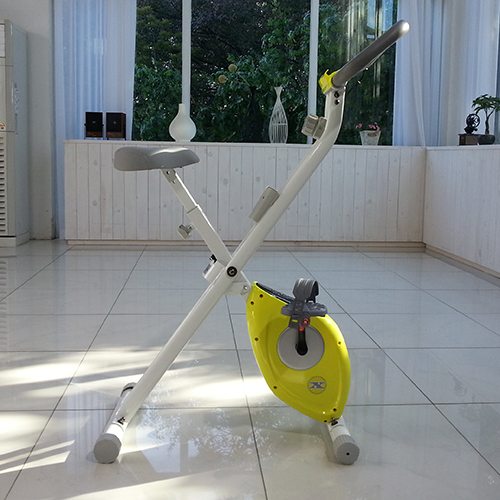 X-Magnetic Exercise Bike PS-EB002
