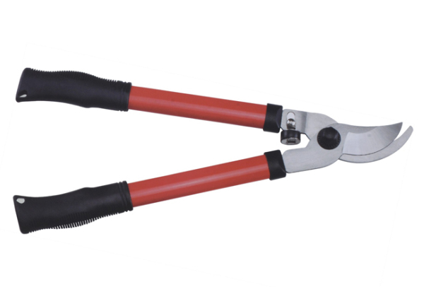 Hadge shear 86012