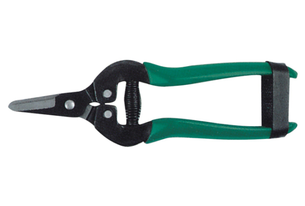 Pruner shear 84049