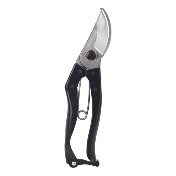 Scissors LY-170B