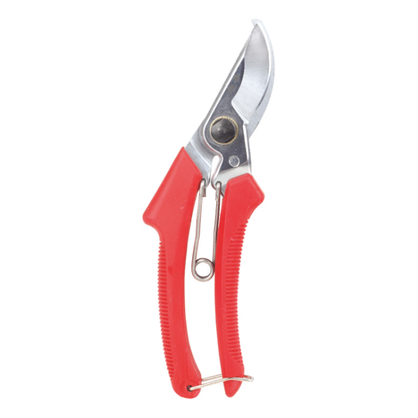 Scissors LY-120