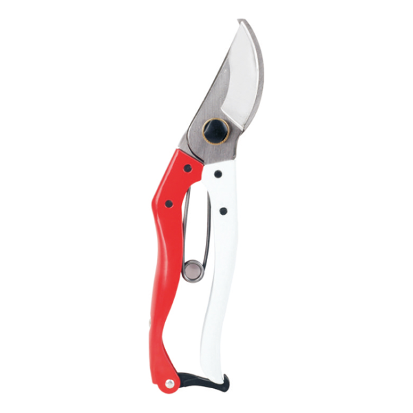 Scissors LY-170A