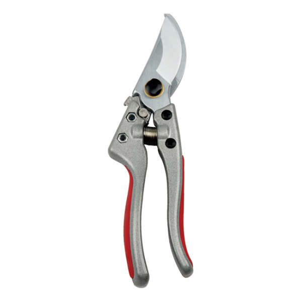 Scissors LY-V8-1