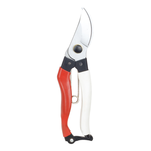Scissors LY-170C