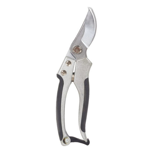 Scissors LY-180