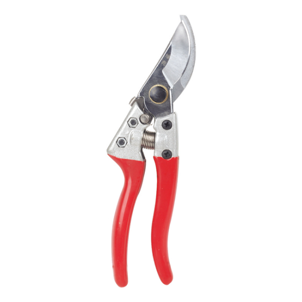 Scissors LY-V8