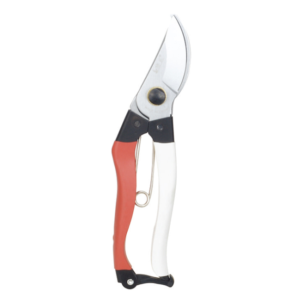 Scissors LY-170P