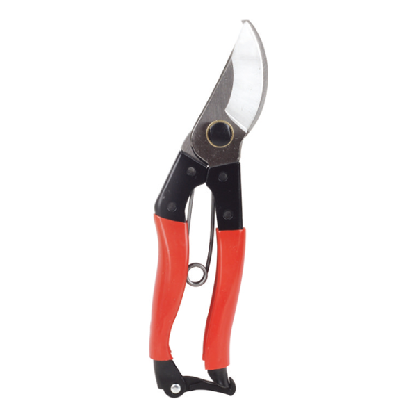 Scissors LY-170