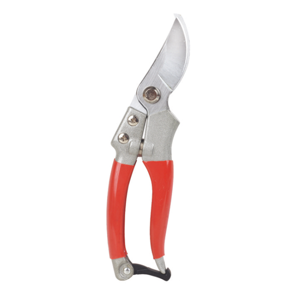 Scissors LY-160