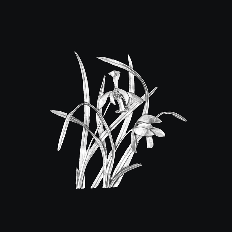 锡画 兰花