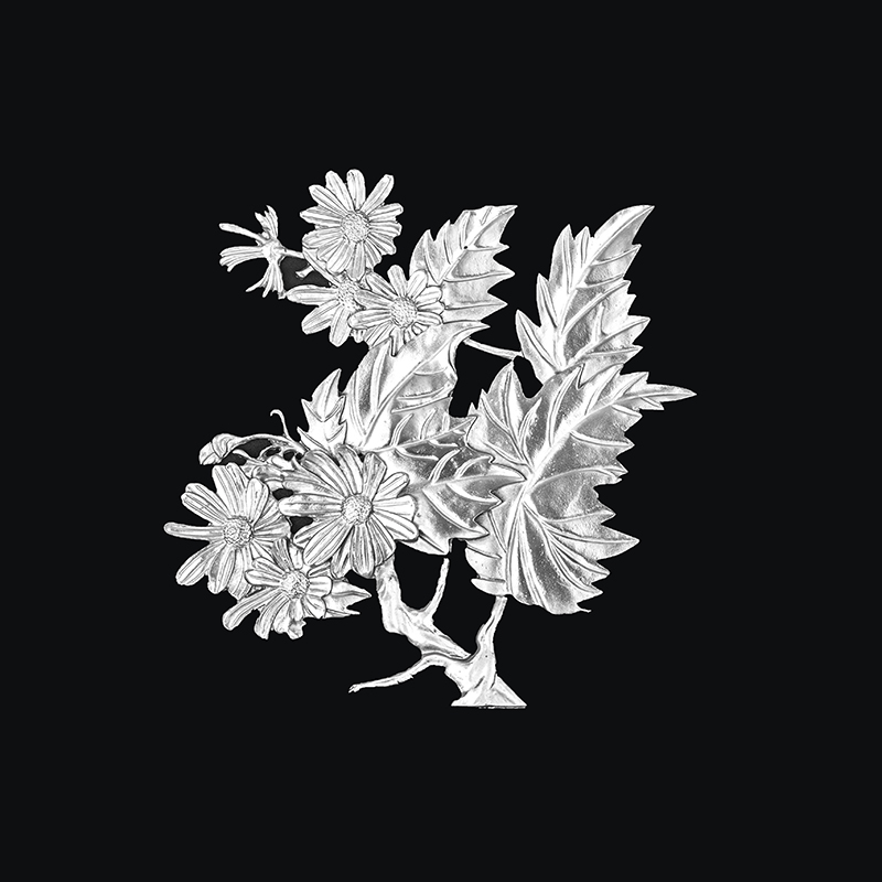 锡画 菊花