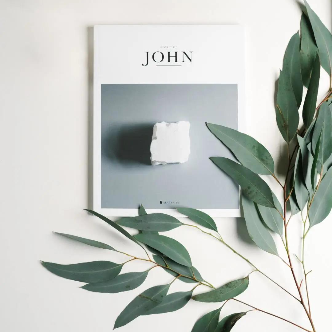 自然的绿色家居，带来满满活力