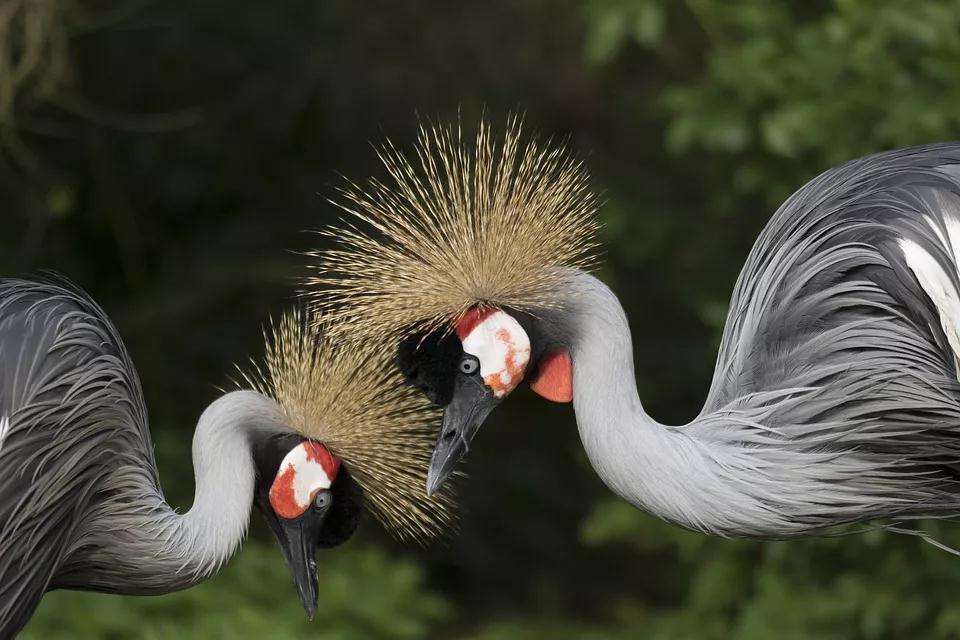 三拓来整体家居 | 这就是我理想的生活，看一眼就醉了！