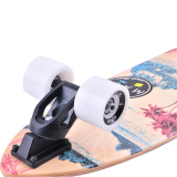 longboard pintail