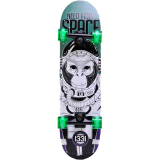 3108 planks