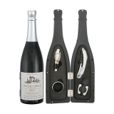 Champagne Bottle Shaped Wine Set608008-D