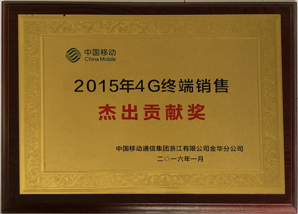 2015年度4G终端销售杰出贡献奖