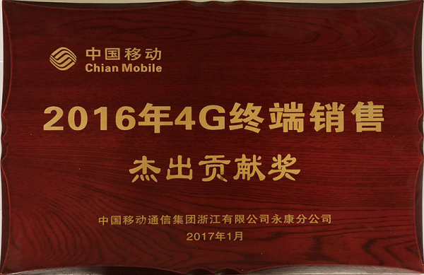 2016年4G终端销售杰出贡献奖