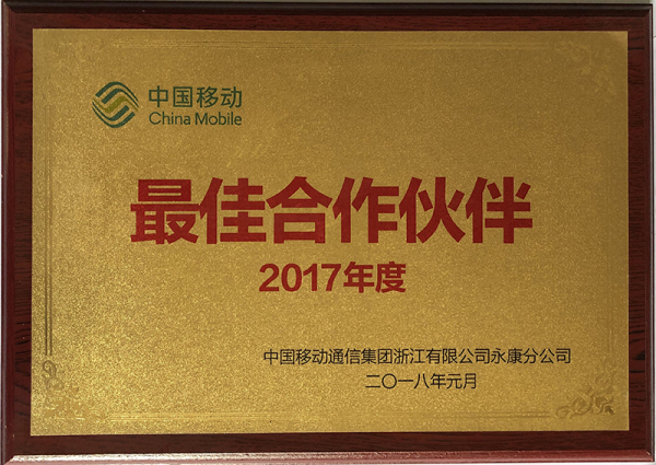 2017年度最佳合作伙伴