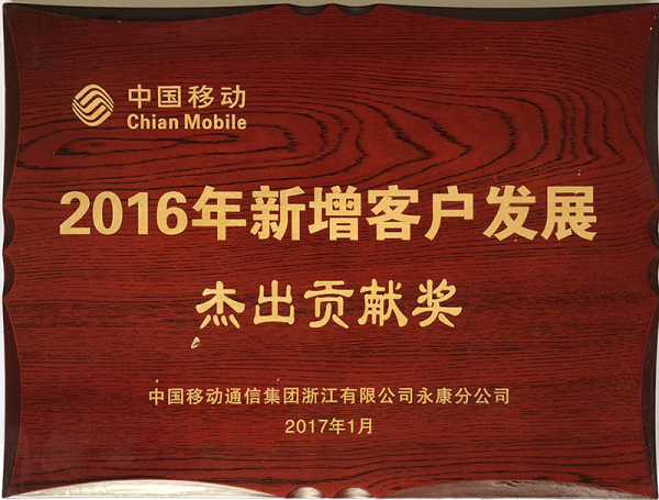 2016年新增客户发展杰出贡献奖