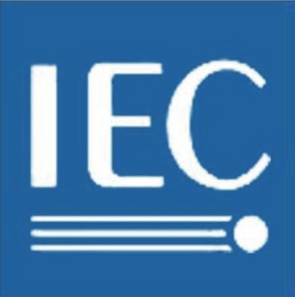 IEC国际标准项目组组长的副本