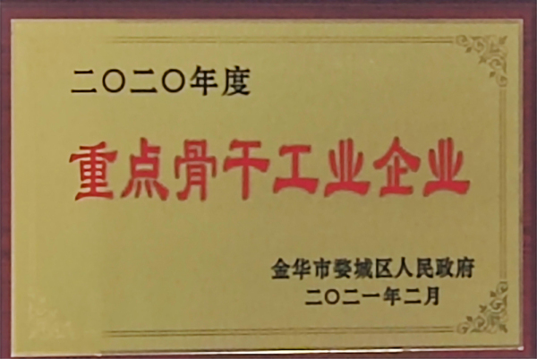 2020年度重点骨干工业企业
