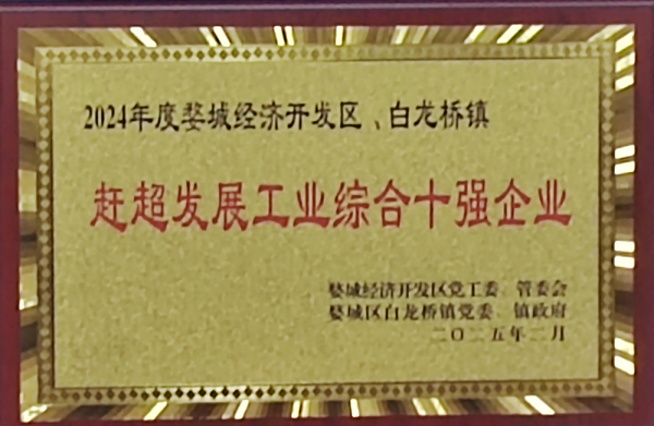 赶超发展工业综合十强企业