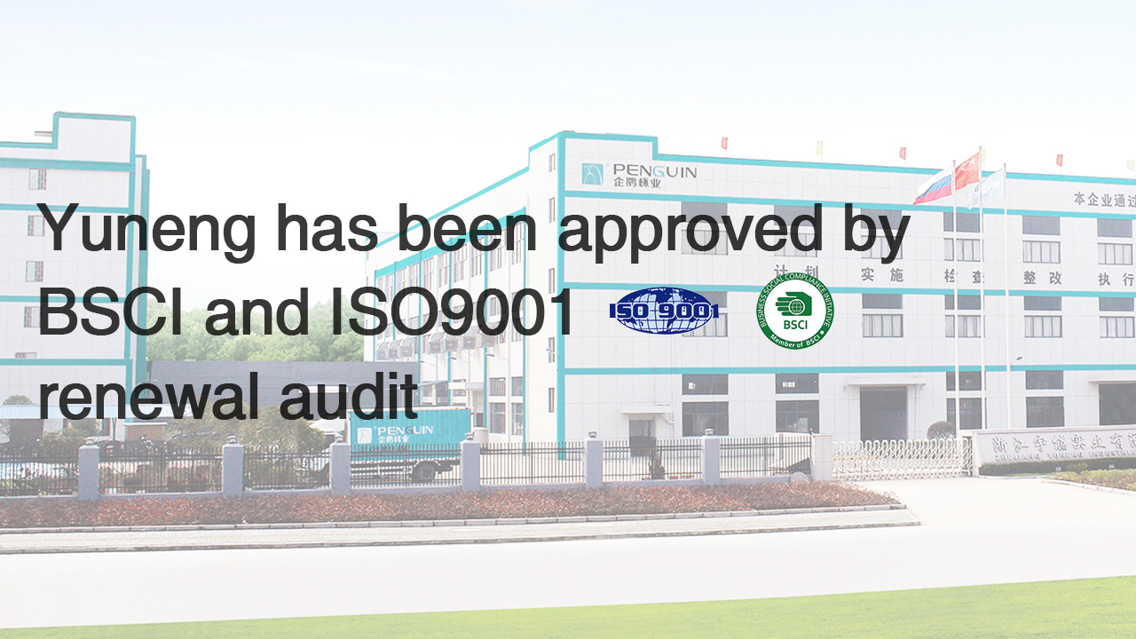 Yuneng has been approved by BSCI and ISO9001 renewal audit