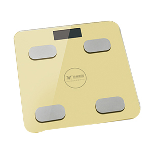 PERSONAL SCALE YZ-1600-(4)