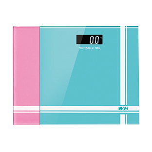 PERSONAL SCALE YZ-1604