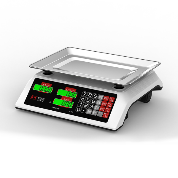 Electronic Price Computing Scale  YZ-718