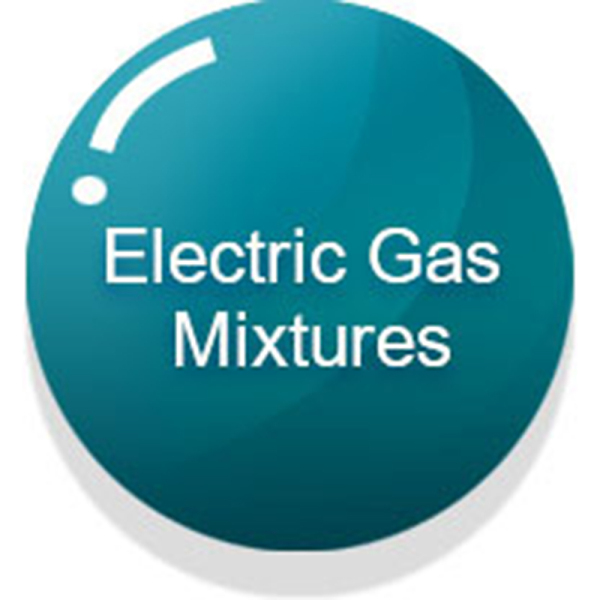 Electronic Gas Mixtures Electronic Gas Mixtures