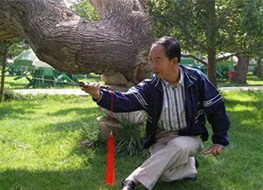 来吧！喜欢形意拳的朋友！来吧！形意拳的师兄弟们！相聚在金华，共叙武林友谊