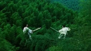 文化名人的武术情结