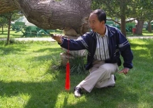 尚派（氏）形意拳简介