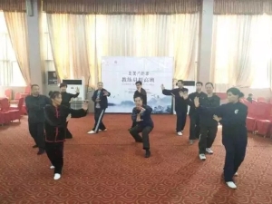 直趟八卦六十四掌