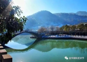 2017年中国·金华国际武术节国际传统武术比赛规程
